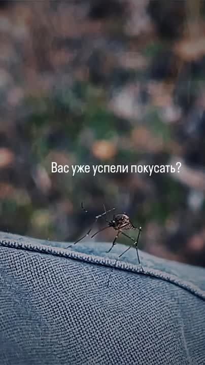 ������ � ���� ������. � ��?