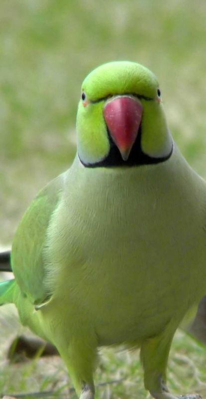 ������� ���� �������. ������, ���� ����� ��� ������ � ���� ���� ����� �����, ������ ������ �� ��������������