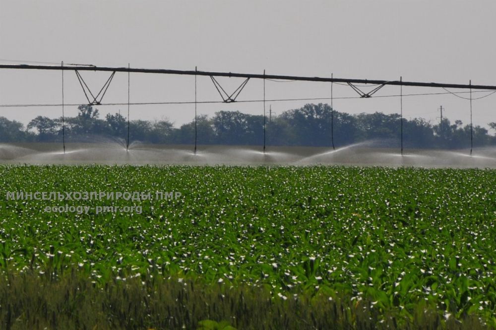 � ���� �����������!. � ������ ����������� ���� ��������� ������������ ����������� �������������