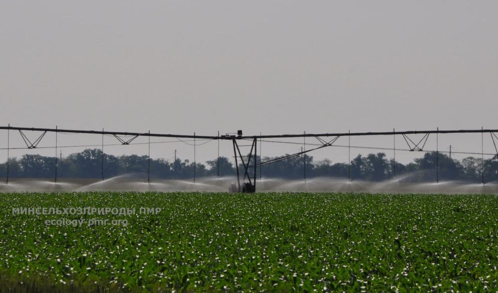 � 2024 ���� ������������ ����������� ������ ������ � ������������, � ��� ����� ������������� �� ���� �������� ���������������� �������������� ���������