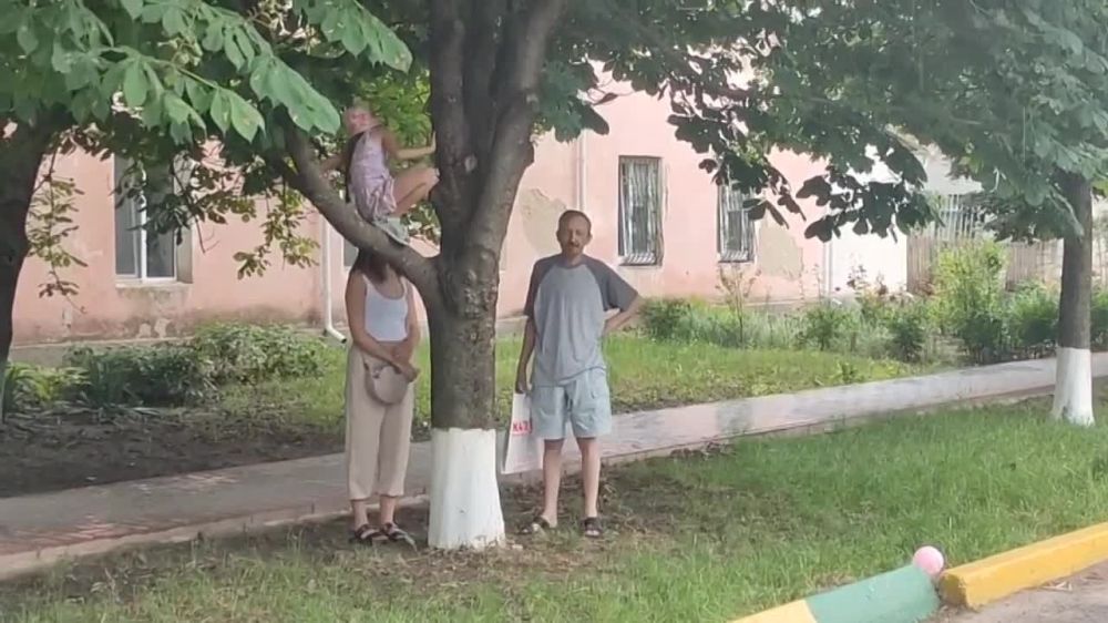 ������ ������ � ����� �����