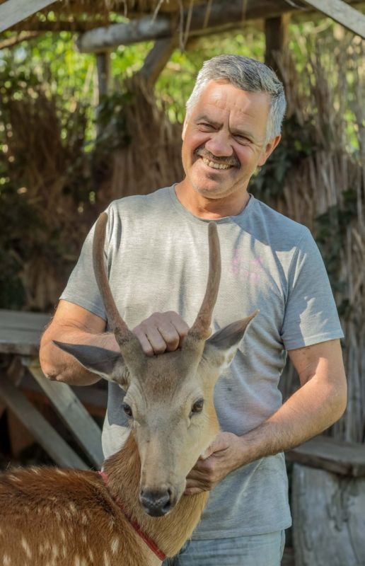 ���� ����������� ������� � ������� � �������, ���������� ����������