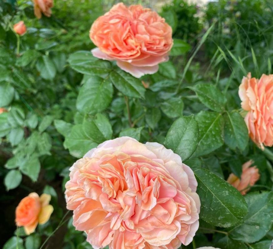 ������ ���� � ��� � �������: �� ��������� ��������! � ���������, � ��������, ������� � ���� �������� ������, - � ���� ������ �����