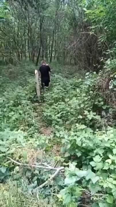 ��������������� ������. ��� ������� ������� ������