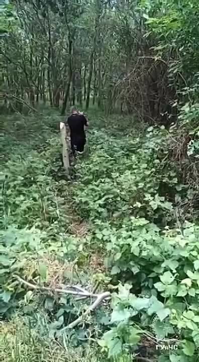 ����� ������ ���������� � �������