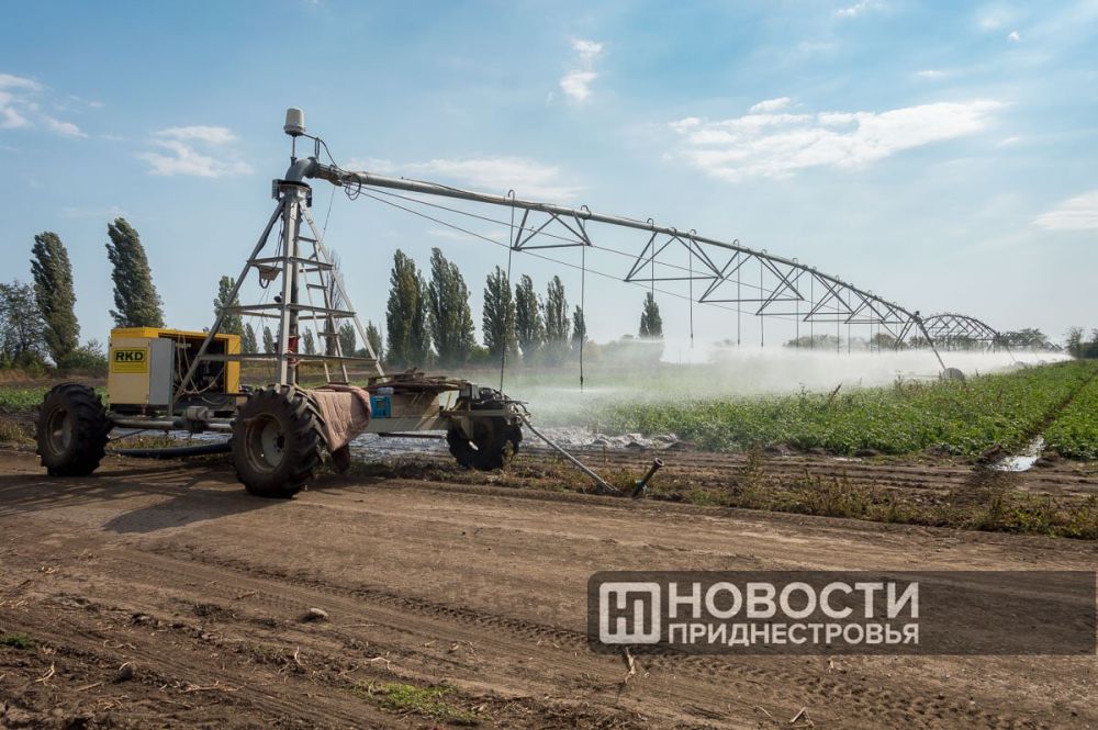 ������� ��������� ������ � 2024 ���� � ������������� ����������� ��������� �� 40 ���