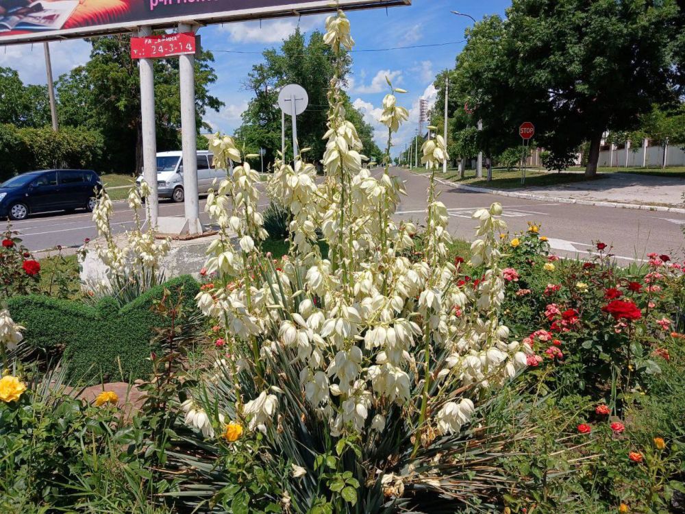 ������� ������ ��� �����. ��������� ������� ���� �� ����� ������������ ����� "������"