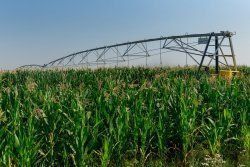 � ������������� �������� ���� �����������