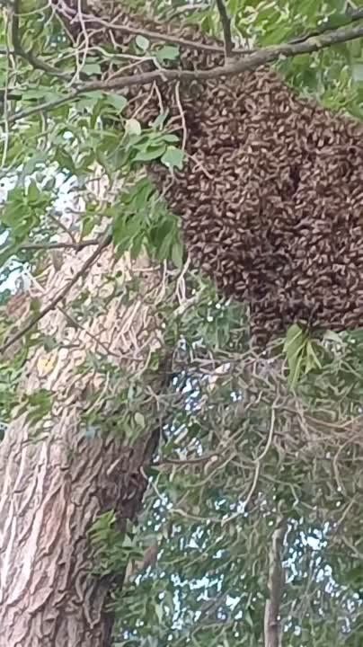 � ��������� �������� ��� ���� ��������� �� ������