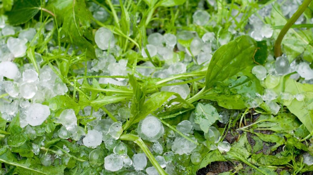 ������ ���� �� ���������� ��������� ����� � ������ � ������� ������� � ������