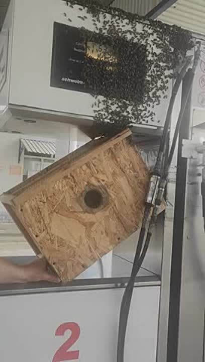 � ��� ����� �� �������� ����� ��������� � ��������