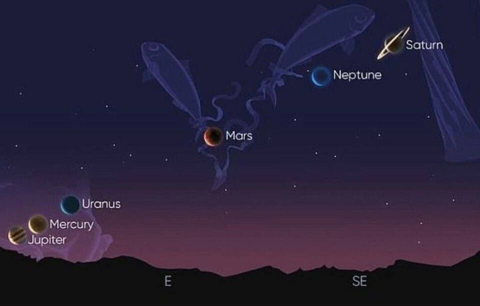 ������� ������� ������� ����� ������