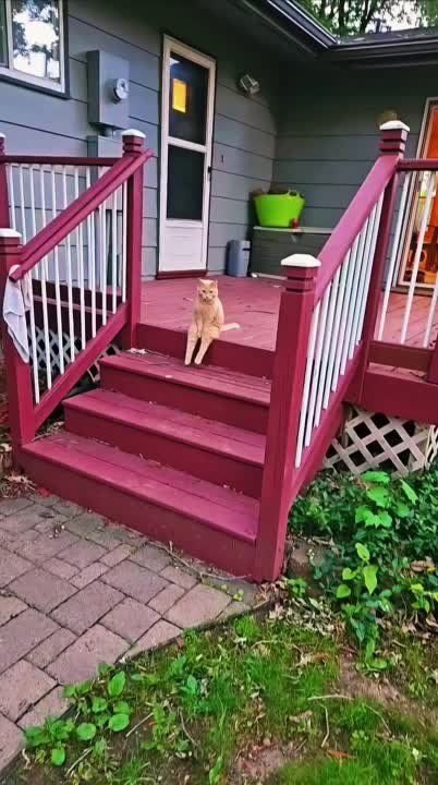 ����� � �������� ��������� ���� ��� ������