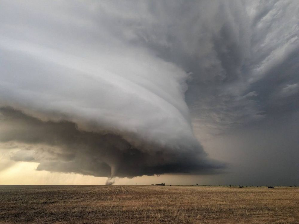 ������ ������� ������ � ����� �����