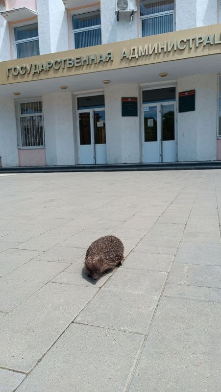 � ���������� ���������������� ��������� ��. ��� � �����, ������ ������� � ������