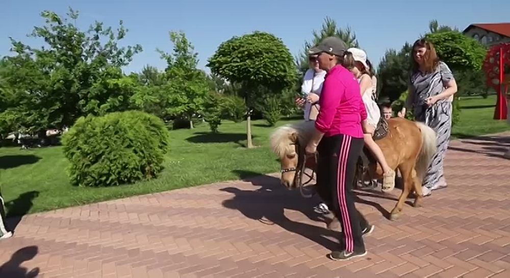 ����� ������ ����.. ���� �������� - ���������� �������