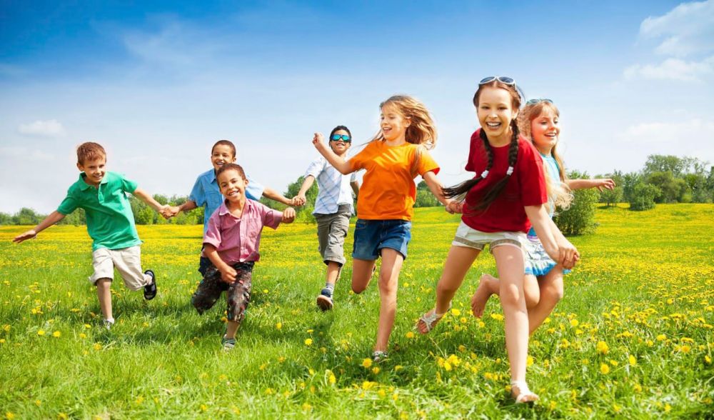 ���� ����� ������� 213 ��������� �������� ��� ������� ����������