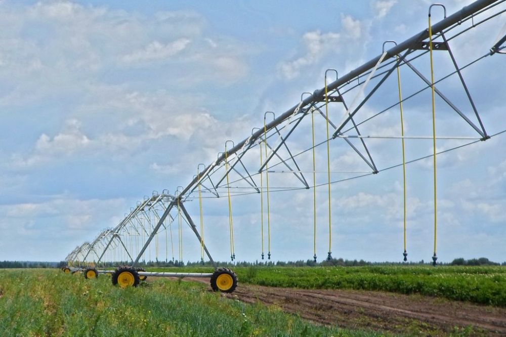 ���������� ���������� ������ �� ���������� ������������ �������������� � �������� �������������� ��������� � 2023 ����