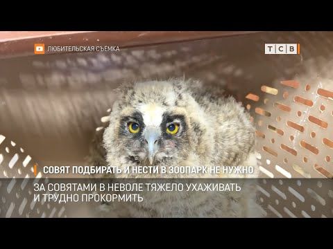 � ��������� ����������� �������� ���� �����