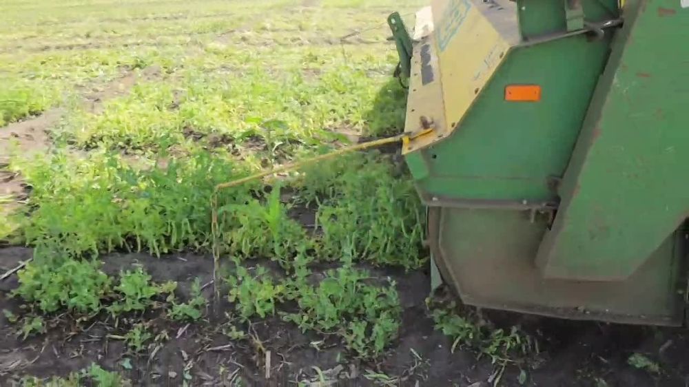 � ������� ������� ��� ����