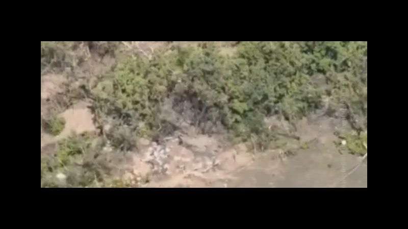 ������ ���������� ��������� ������������ �������� � ���� ���