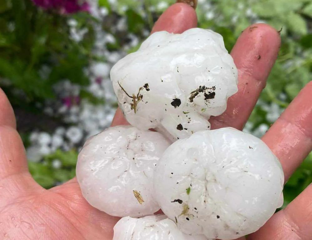 ��� ����� ������ ����� � ����� �������� ������ �������