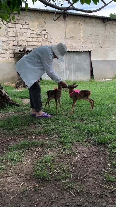 �� �� ����. ����� ����� �� ������������� ��������. ���� ������� � ������ ������