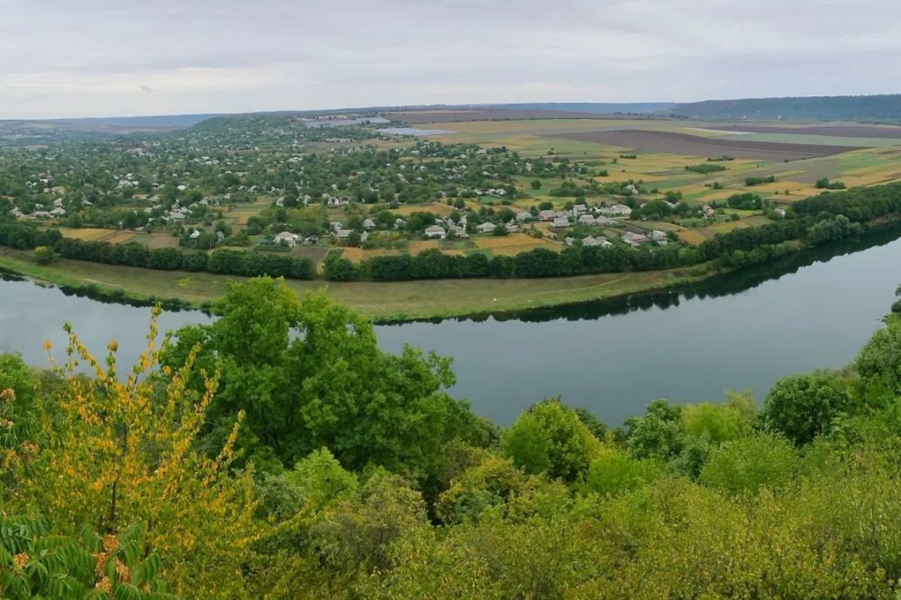 5 ���� - ���� ���������� ��������������� ��������������� ������� ���