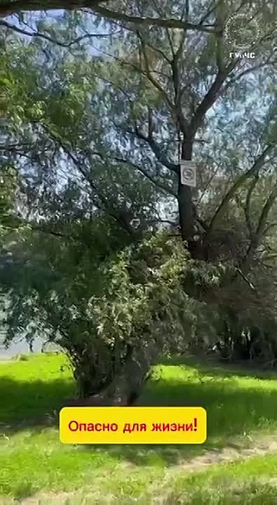 ��������� ����������� ������������ ��� ������� �����