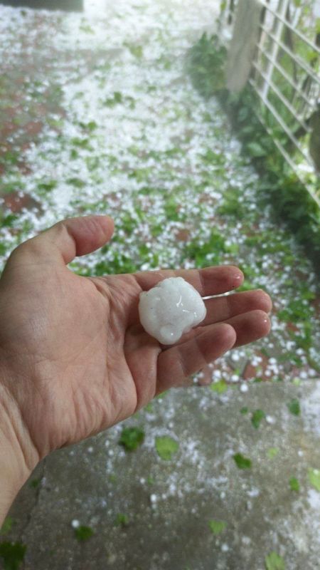 ������ ���������� �������� �������� � �������� �������� ������