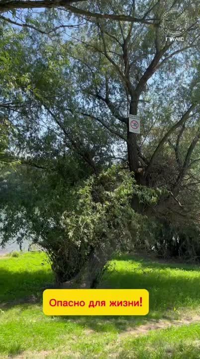 ��������� ����������� ���� �� ���������� ��� �������