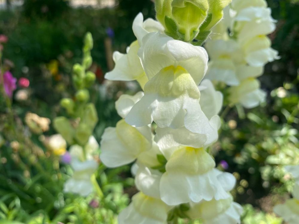 � ��� ����� ��� �������� ���� ������ ���������� �����