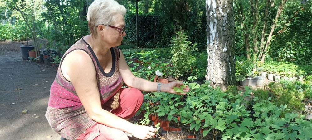 � ��������������� ������������ ���� �������� ��������� ���������� ������ ����