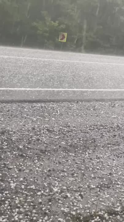 ����� ���������� ����� ������� �������� ������