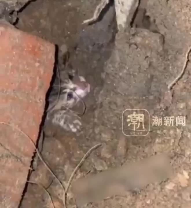 � ����� �������� ����� ����� � ��������� �� �� ������ ����� ���� �� ������