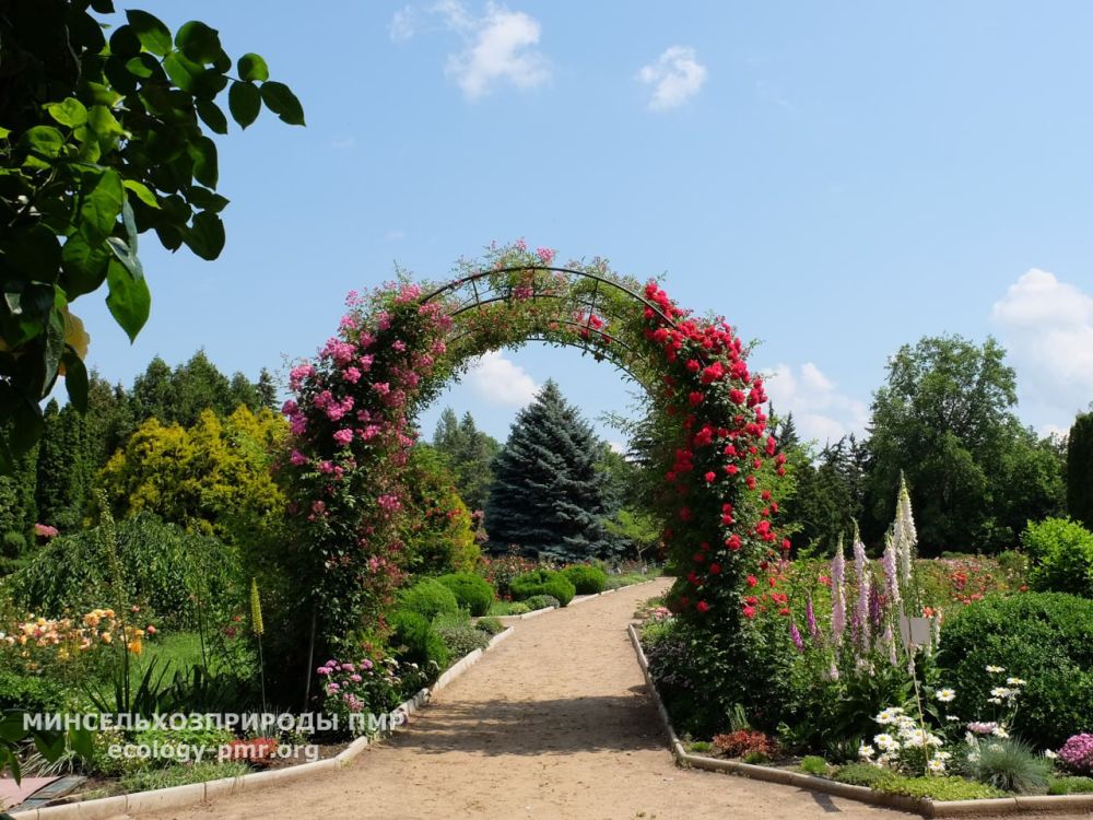 ���������������� ������� � 65 ���