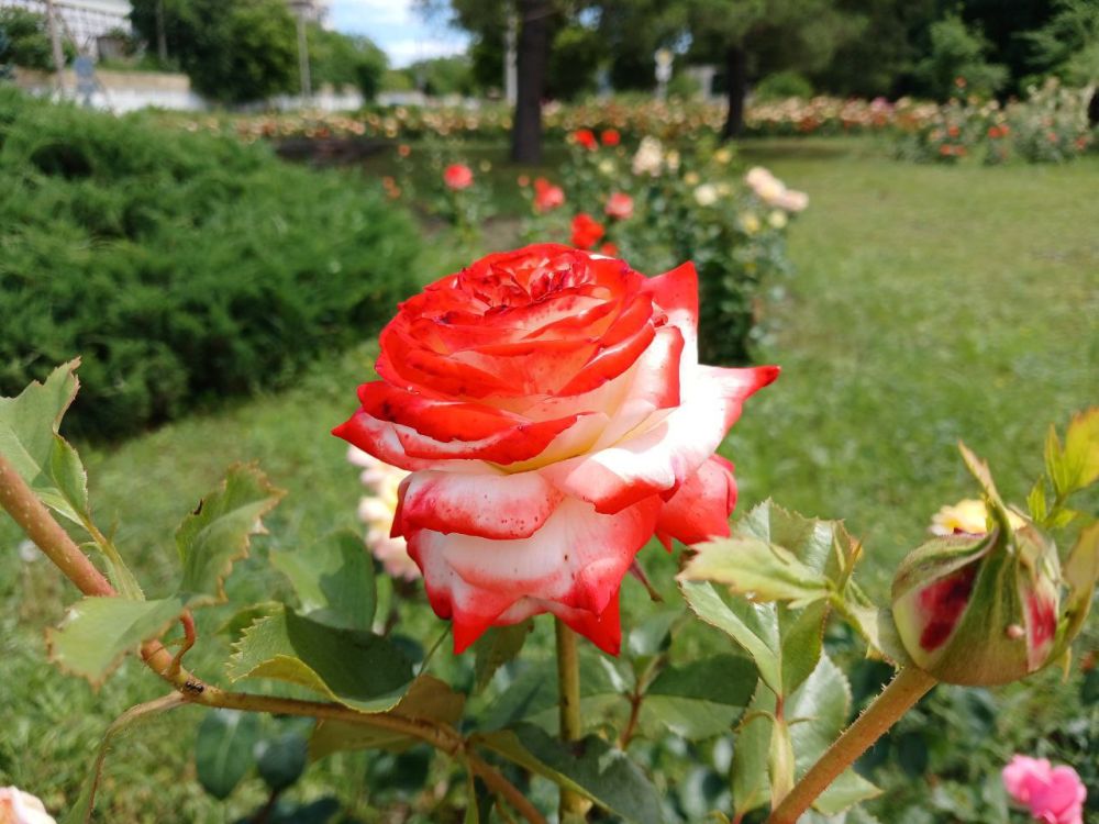 ��� �������� ��������� ����� �� ����� �� � ��, 6 ���� ��������� ���������� ����������, ��� �������