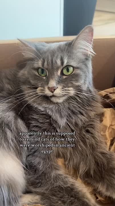 � ������� ����� ������ ����� � ���� �������� ����� ����� ����� �� �������� ������, �������� �� �� ��������