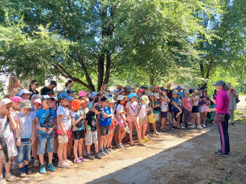 �� ����. ������ ������ ������ ������ �������� � 13 ����� ����������� ���������� ������� ����� "�����-FORTRESS"