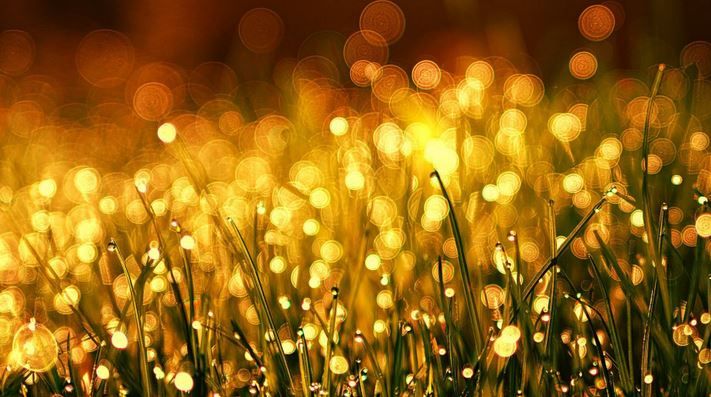 ������������ ������� 7 ���� �������� ������ ����������� �������� � ���� �������� ��������� ����� ������ ��������