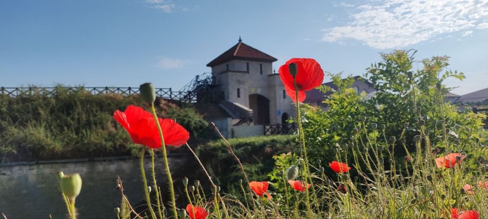 ��� ������� ��������� ����� �� ����� �� � ��, 8 ���� ��������� ���������� ����������, �������