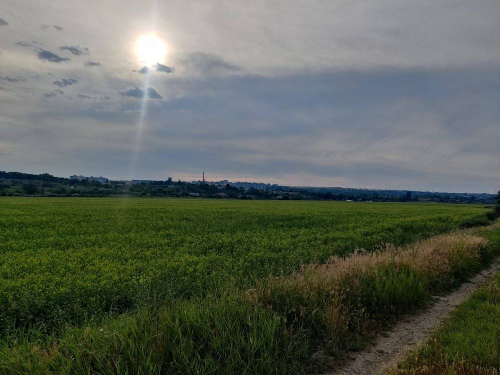 ������� ������ ������� ������ ���� � ����������� � ��������