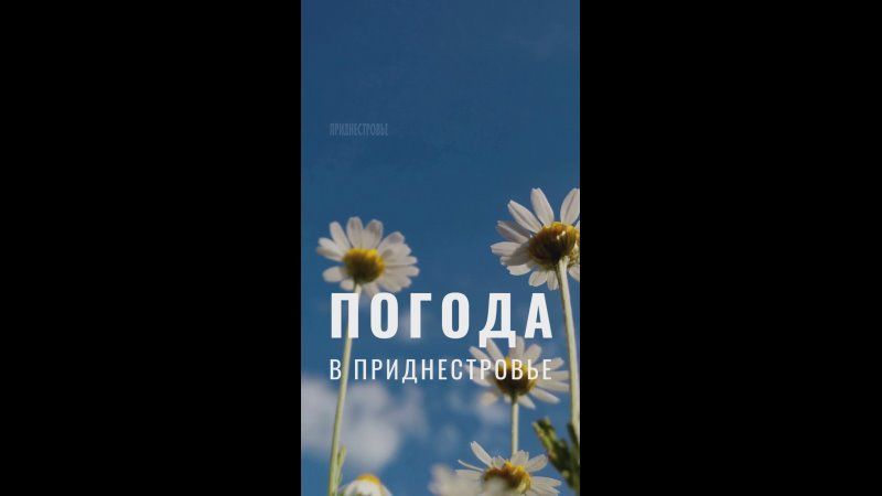 7 ���� ��������� ���������� ����������, ��� �������