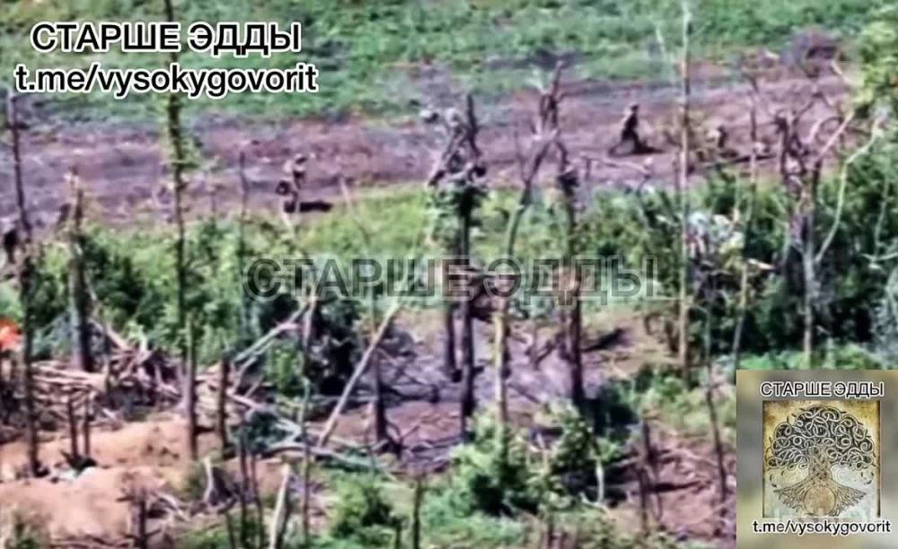 ��������� � ������ ���������� ����� � ������ �������� � ������ �.� �����