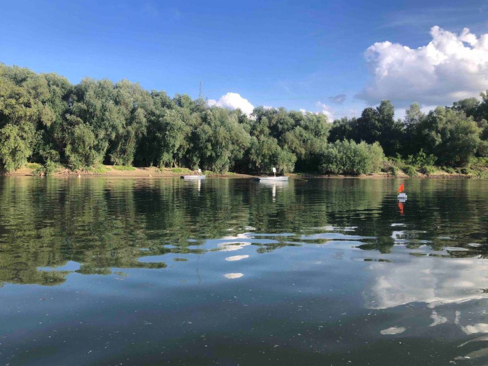 ������� ���� ��� ����� �� ������� - ��������, +32