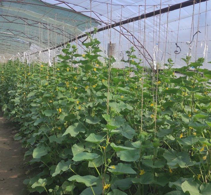 � ��������������� ��� ��������� ��������� �������� ������� ������� ������