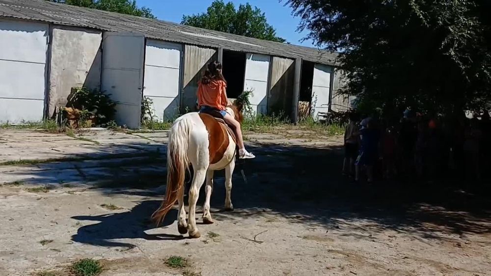 ����, ��������, ������� � ����� ������ ����������