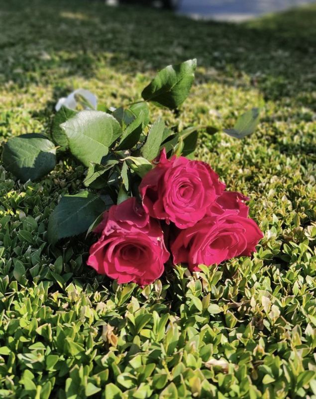 � ���������� ���������� ��� ����� �������� �������� � �������� ����