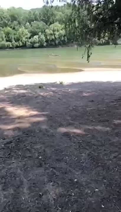 ���������� ������� �����, ��� ����� ������ �������� ������ � ������ �������