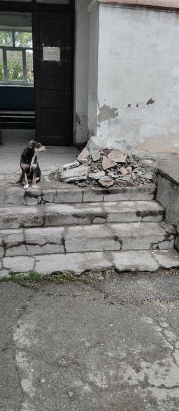 ���� ���� ��������. � ��� ��������� ������